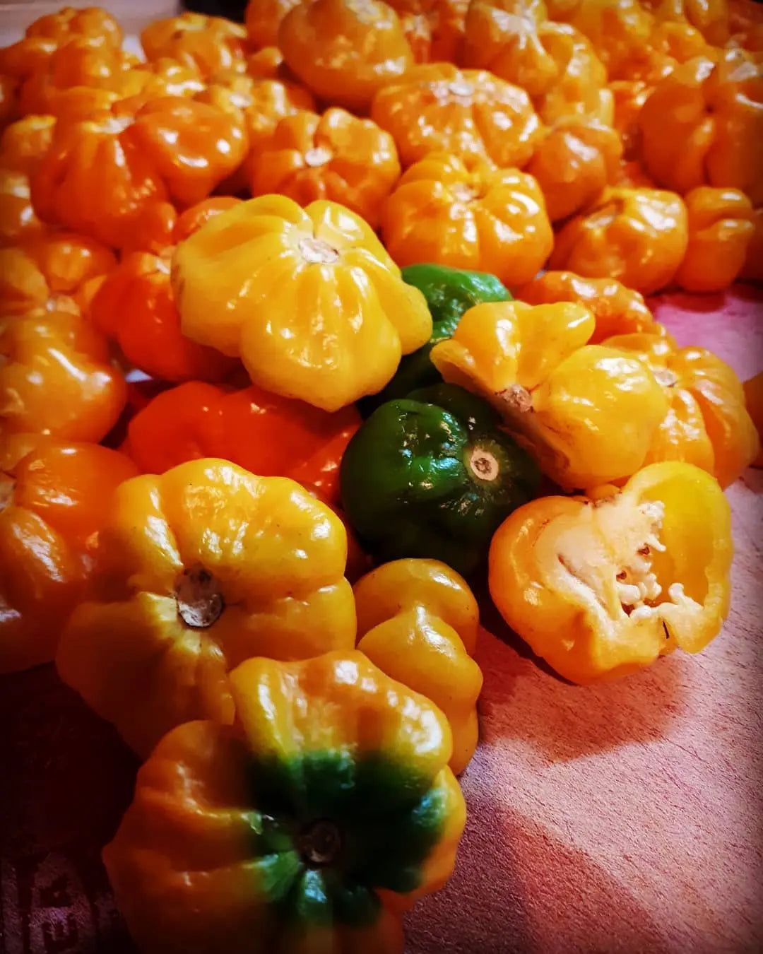 Nerpy's Nerpy's Dehydrated Scotch Bonnet Pepper Powder