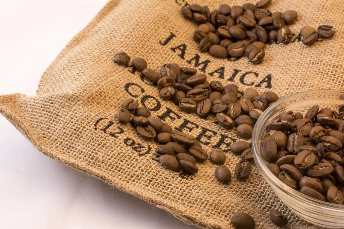 Jamaica Blue Mountain Coffee – 100% Whole Bean, Dark & Medium Roast Bundle, Rainforest Certified - Nerpy's Inc.