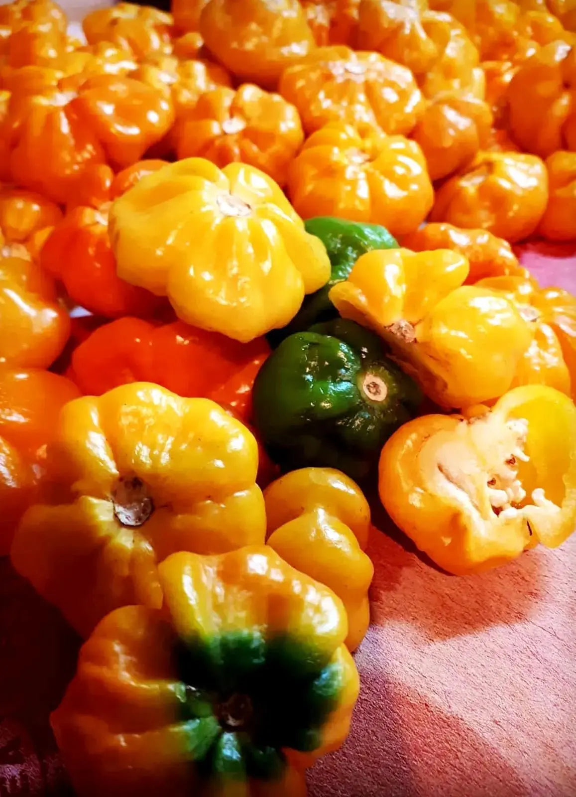 Nerpy's Dehydrated Scotch Bonnet Pepper Flakes – Salt-Free, Gluten-Free, Vegan - Nerpy's Inc.