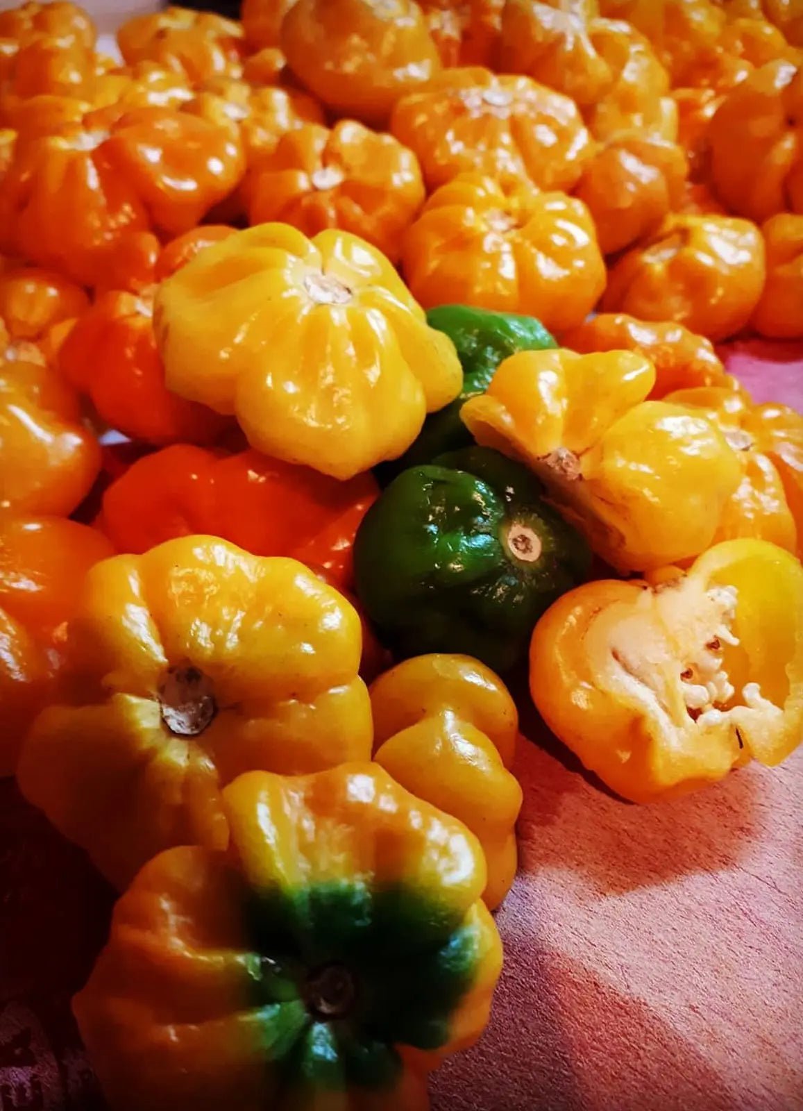 Nerpy's Scotch Bonnet Pepper Seeds – Jamaican Hot Pepper Seeds for Growing - Nerpy's Inc.
